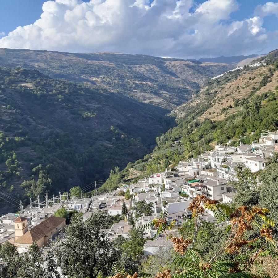 Casa Martina Pampaneira Daire Dış mekan fotoğraf