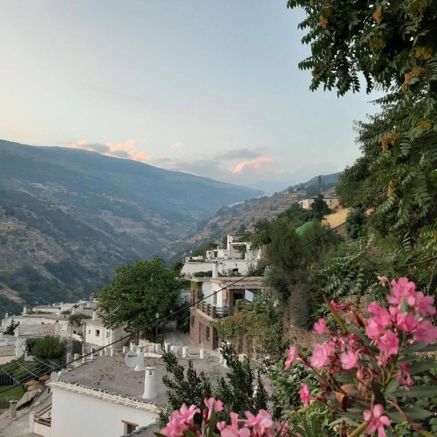 Casa Martina Pampaneira Daire Dış mekan fotoğraf