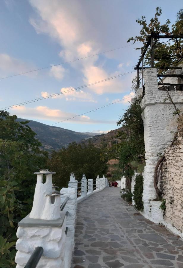 Casa Martina Pampaneira Daire Dış mekan fotoğraf