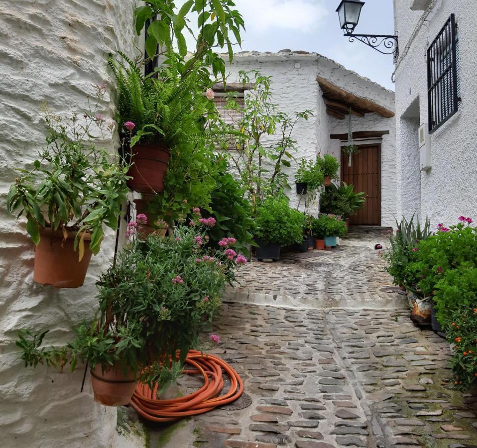 Casa Martina Pampaneira Daire Dış mekan fotoğraf