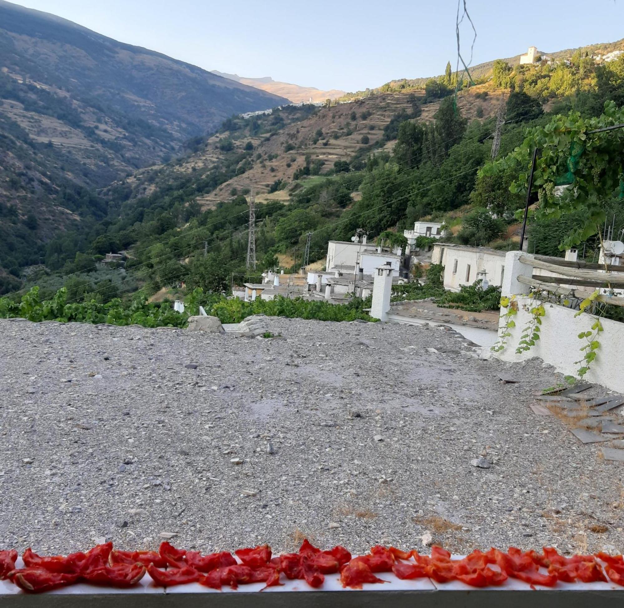 Casa Martina Pampaneira Daire Oda fotoğraf